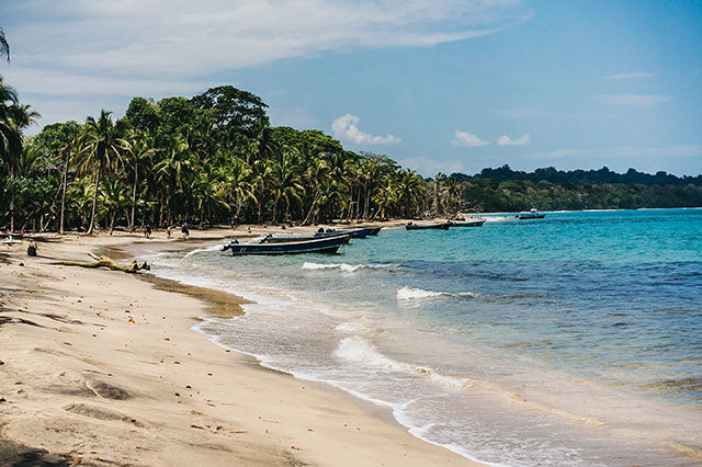 GANDOCA-MANZANILLO WILDLIFE REFUGE