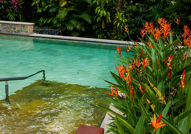 TABACÓN GRAND SPA THERMAL RESORT COFFEE SHOP