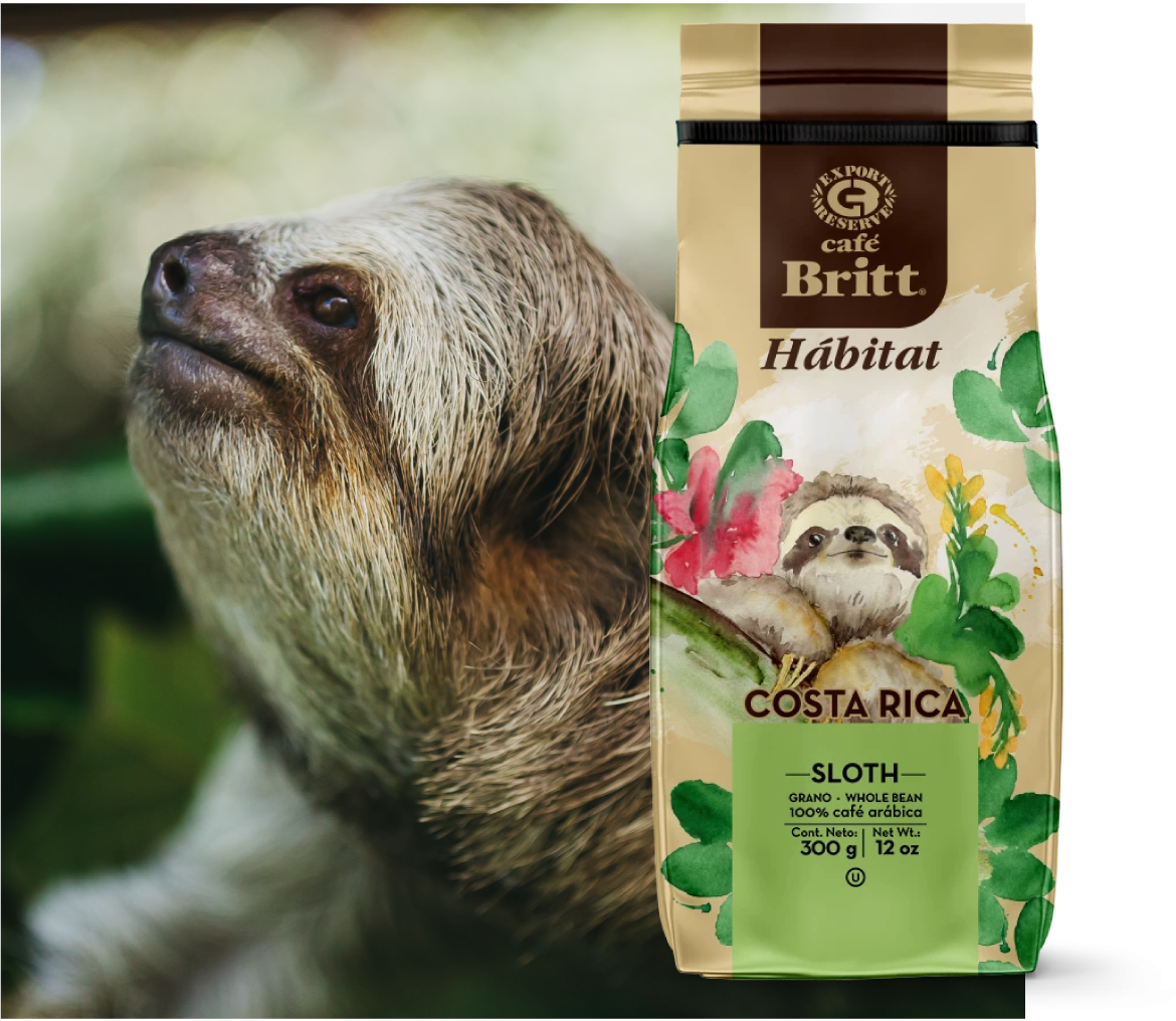 rse-habitat-sloth.png
