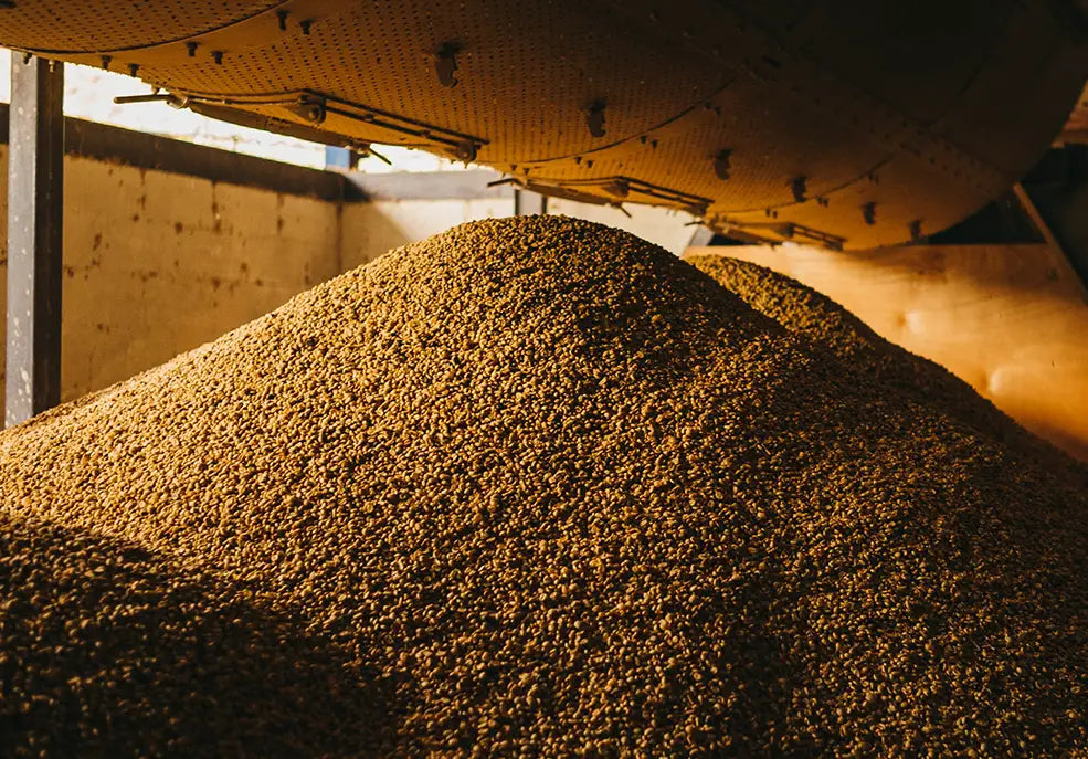 A LOOK INTO THE OLDEST MILL IN TRES RÍOS