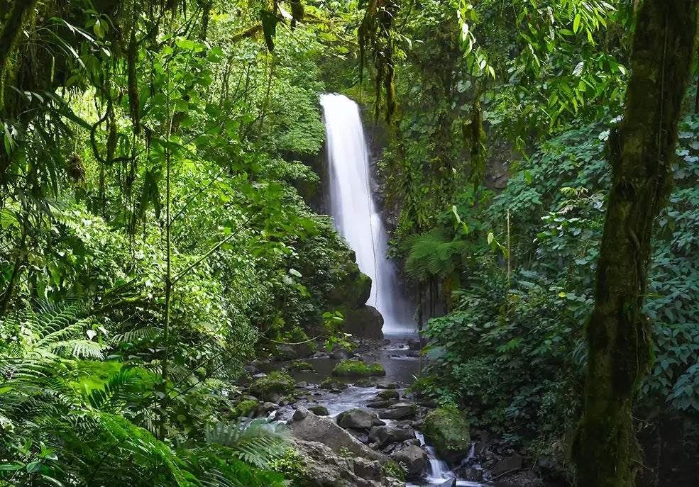 LA PAZ WATERFALL