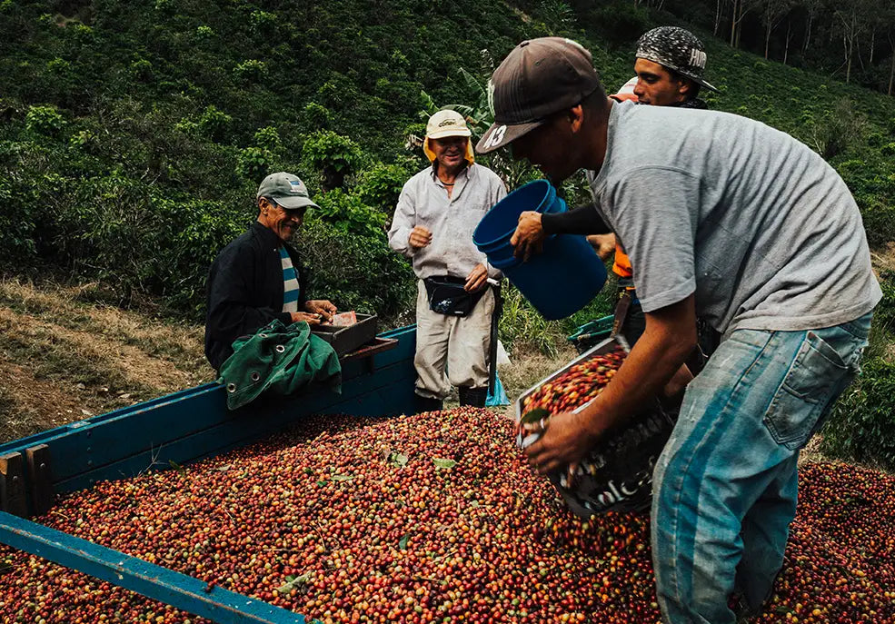 THE FACES BEHIND YOUR COFFEE