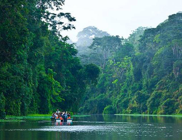 CORCOVADO NATIONAL PARK