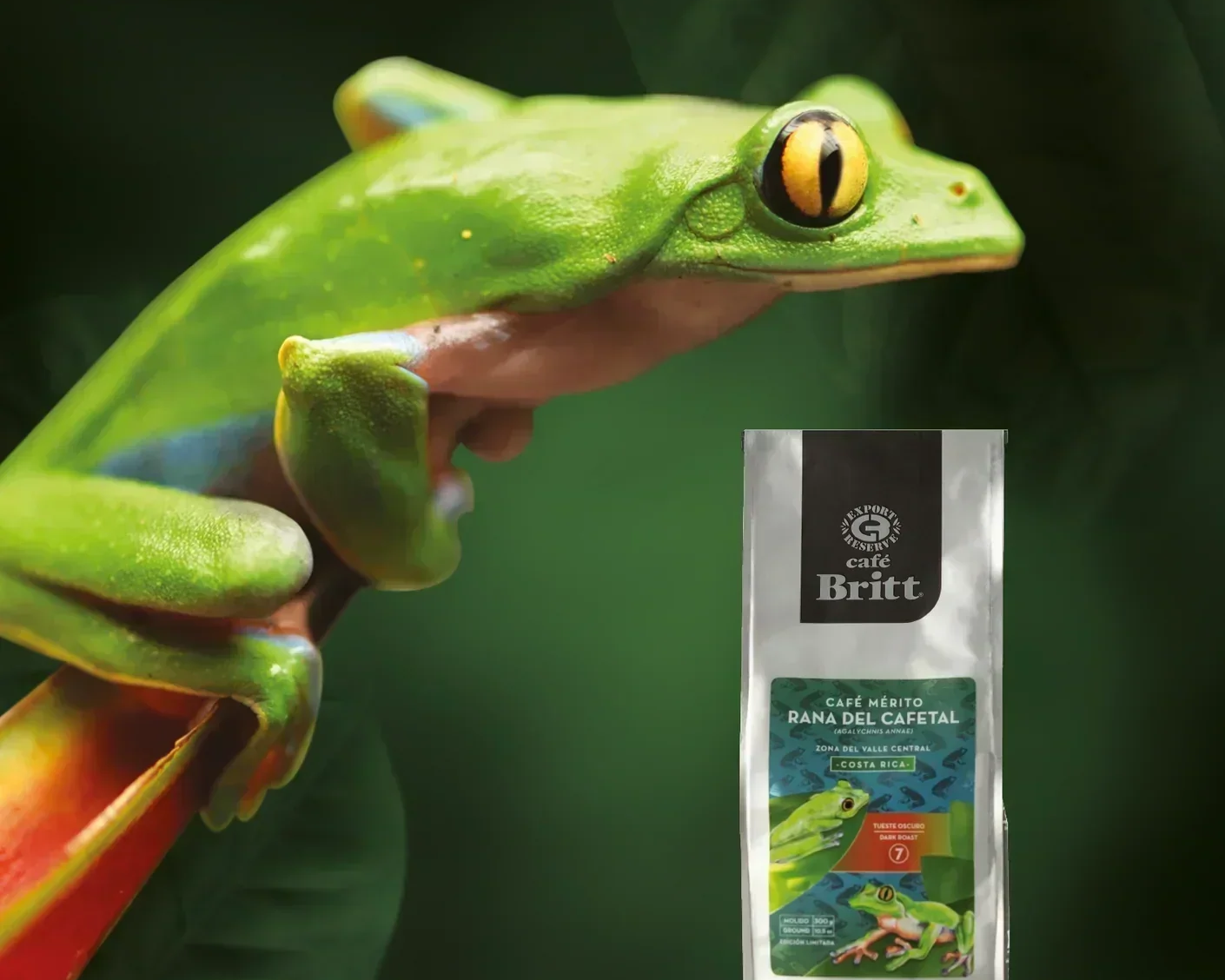 Café Britt Mérito Rana del Cafetal