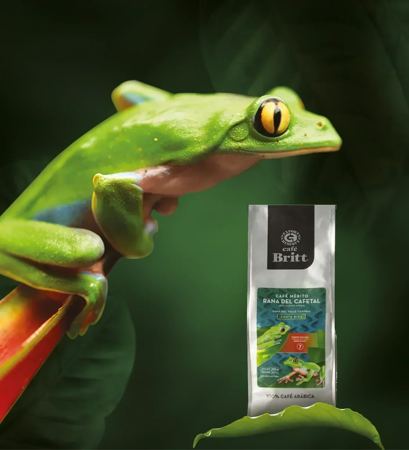 Café Britt Mérito Rana del Cafetal