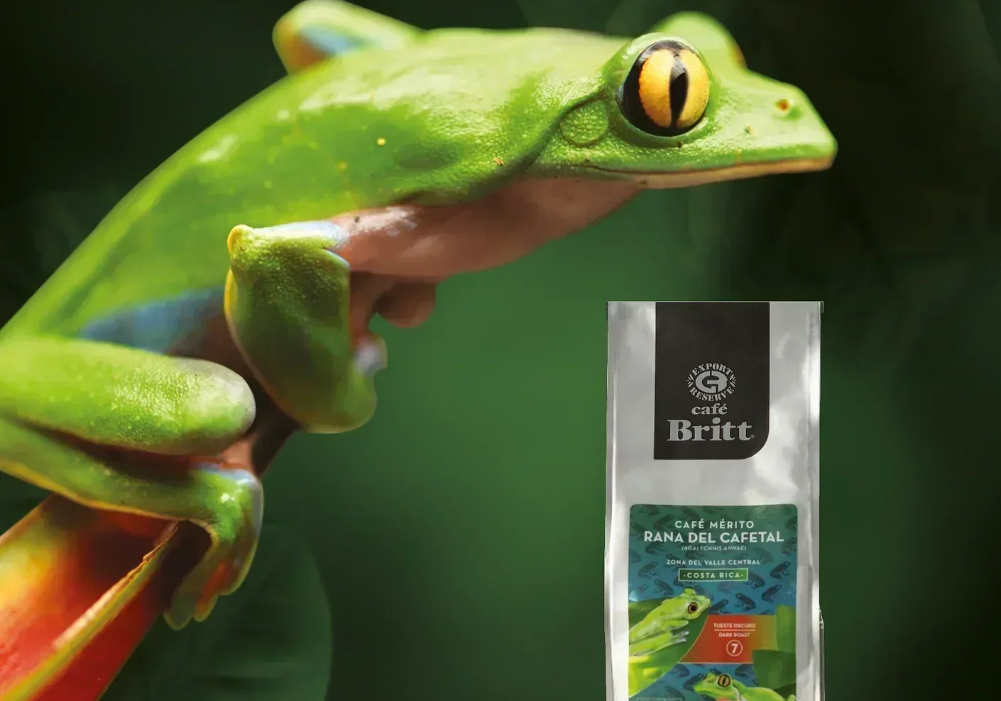 Café Britt Mérito Rana del Cafetal