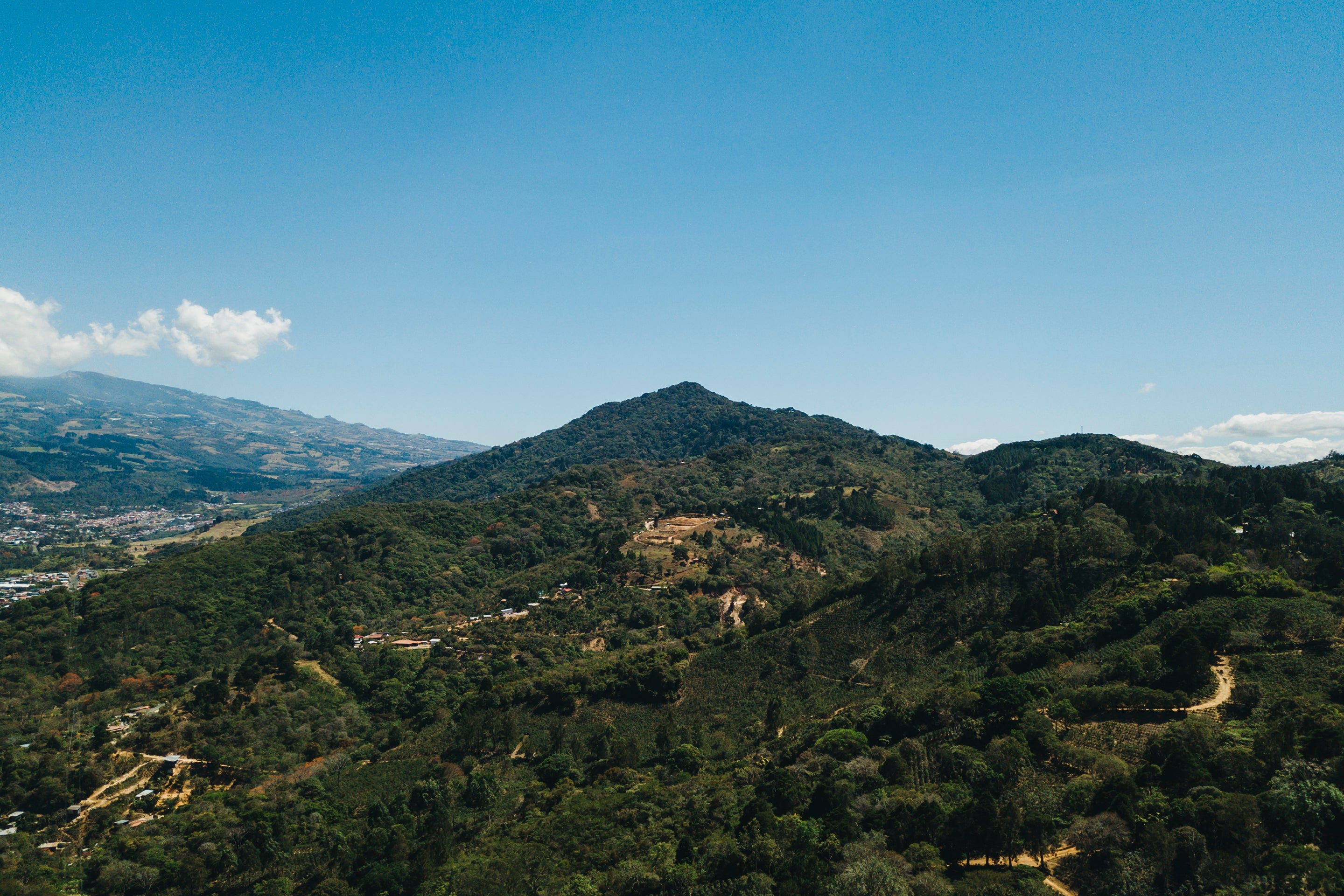 DJI_0031.jpg