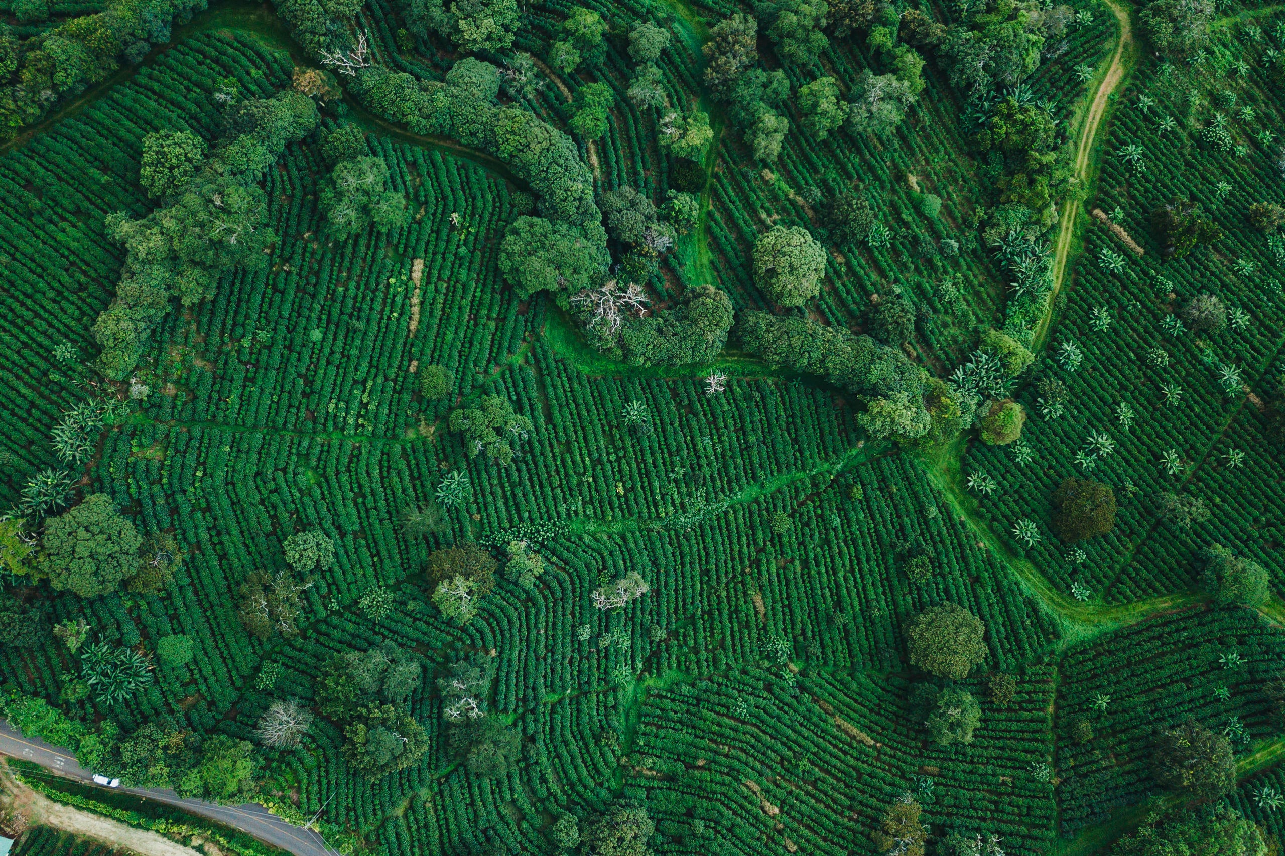DJI_0044.jpg