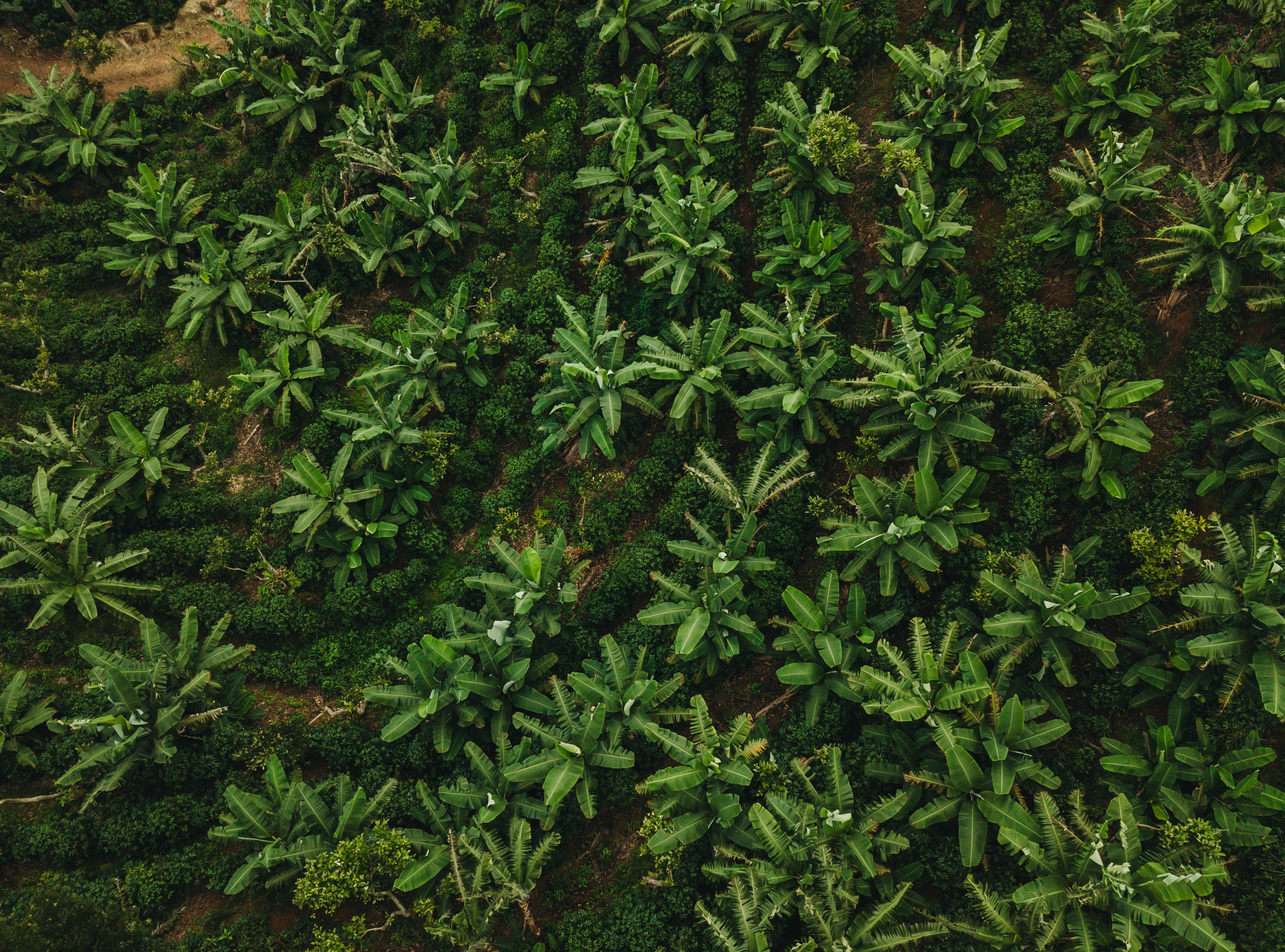 DJI_0113.jpg