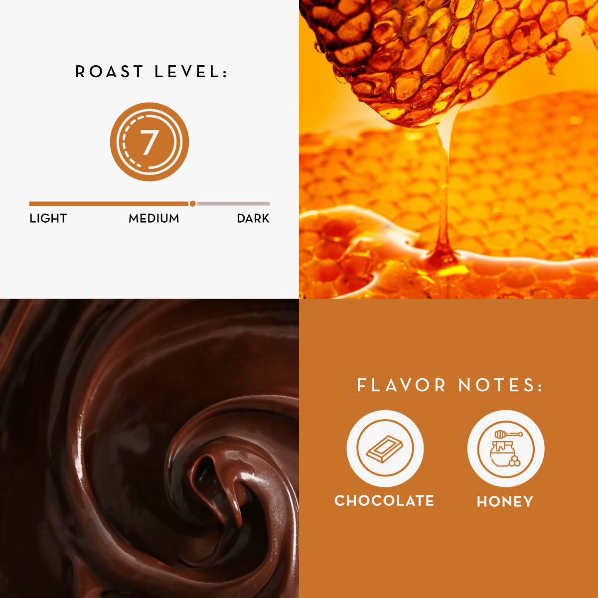 Flavor-Sensory-Cards-altozano_ac5d87c0-72c7-473e-9eef-69bb1702ae01.jpg