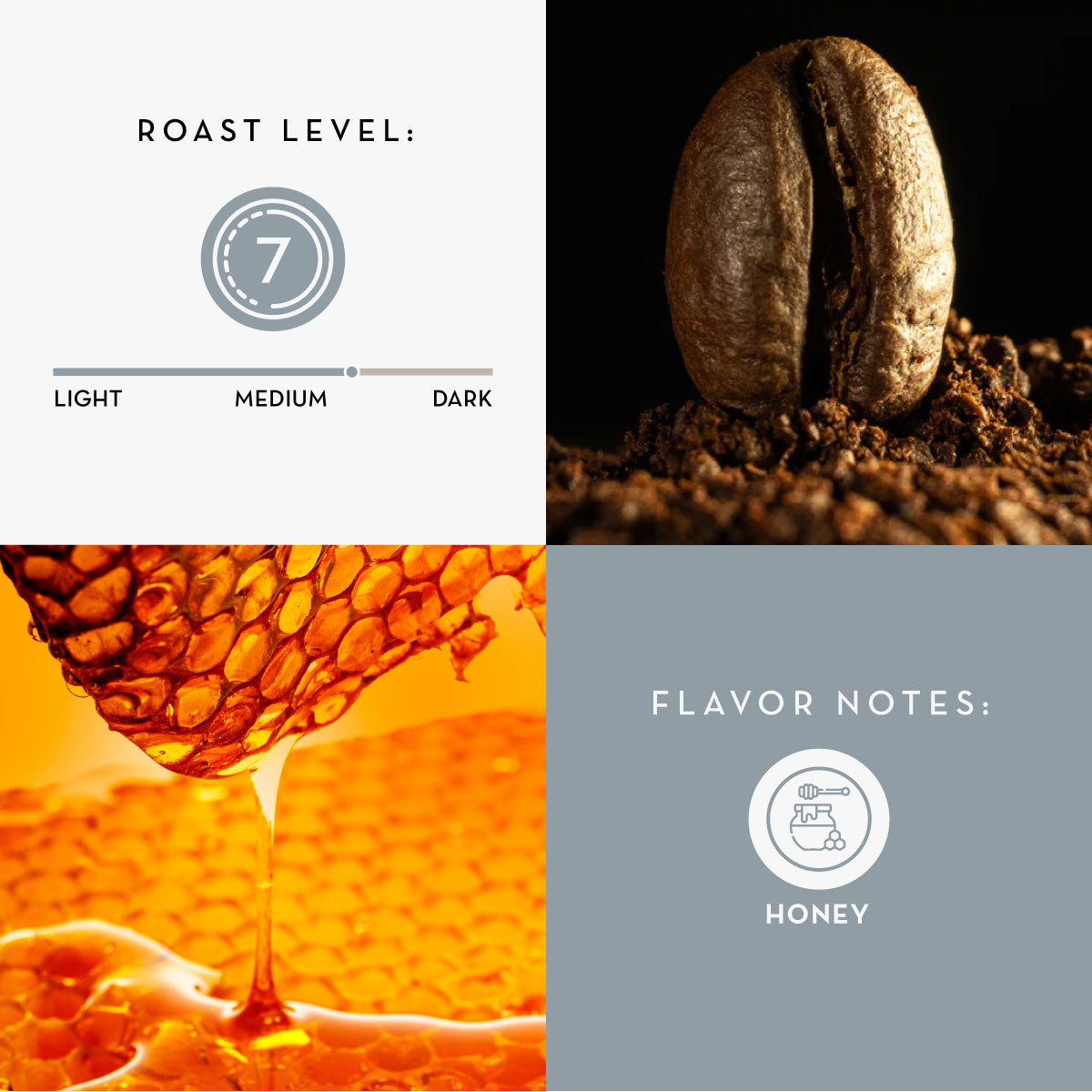 Flavor-Sensory-Cards-peaberry.jpg