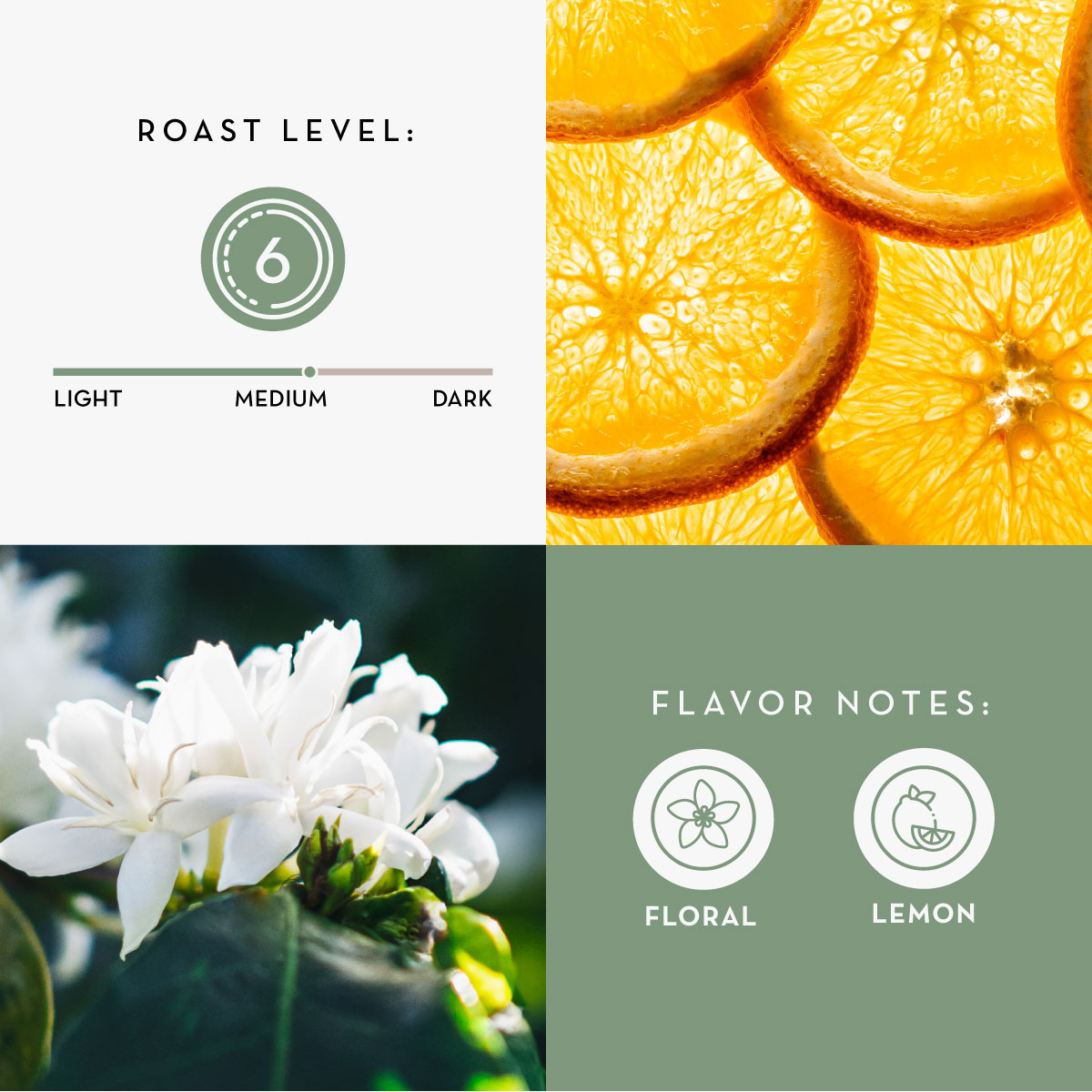 Flavor-Sensory-Cards-poas.jpg