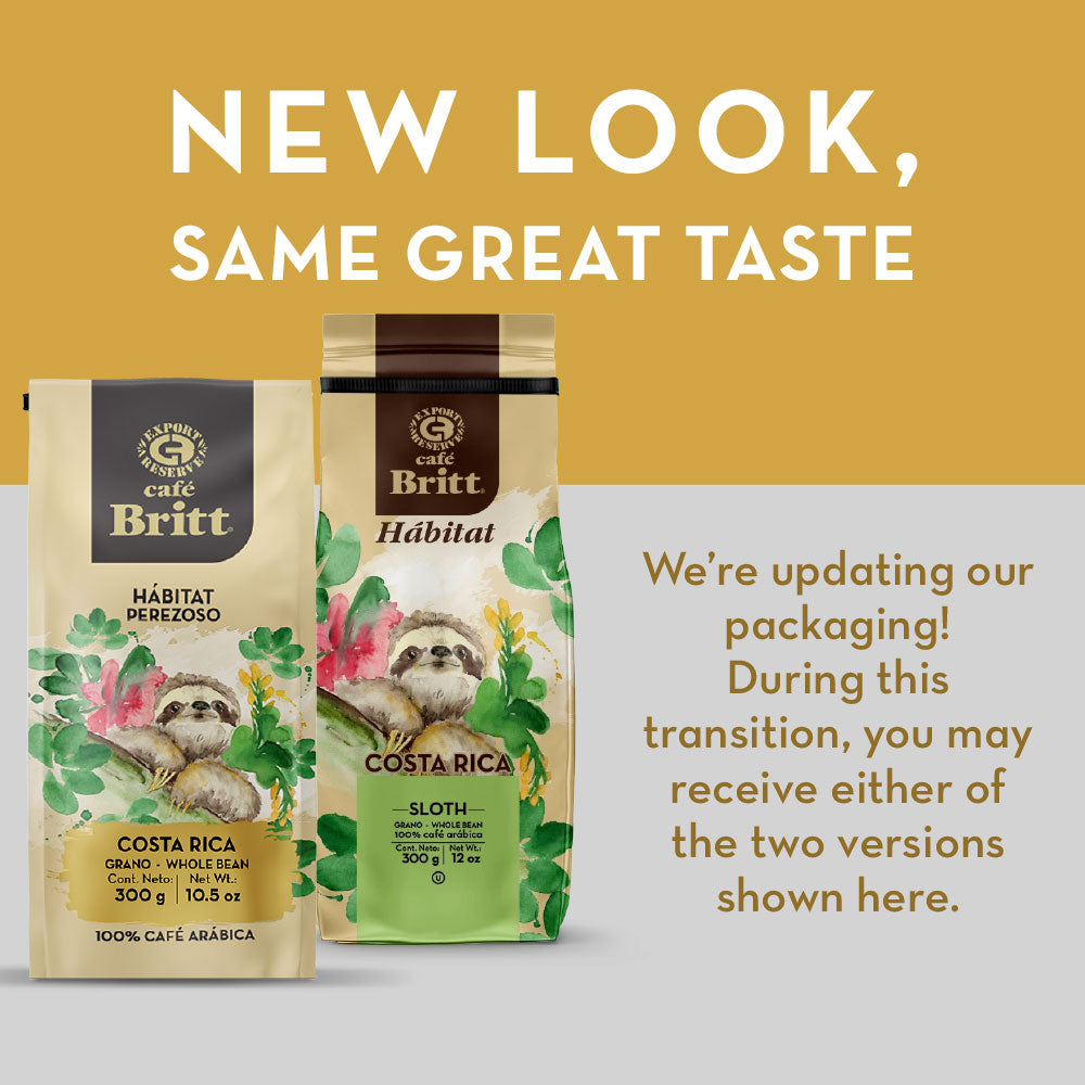 New-coffee-sloth_1daa9e9f-d6bf-4e0f-ad6c-30f2a6d09803.jpg