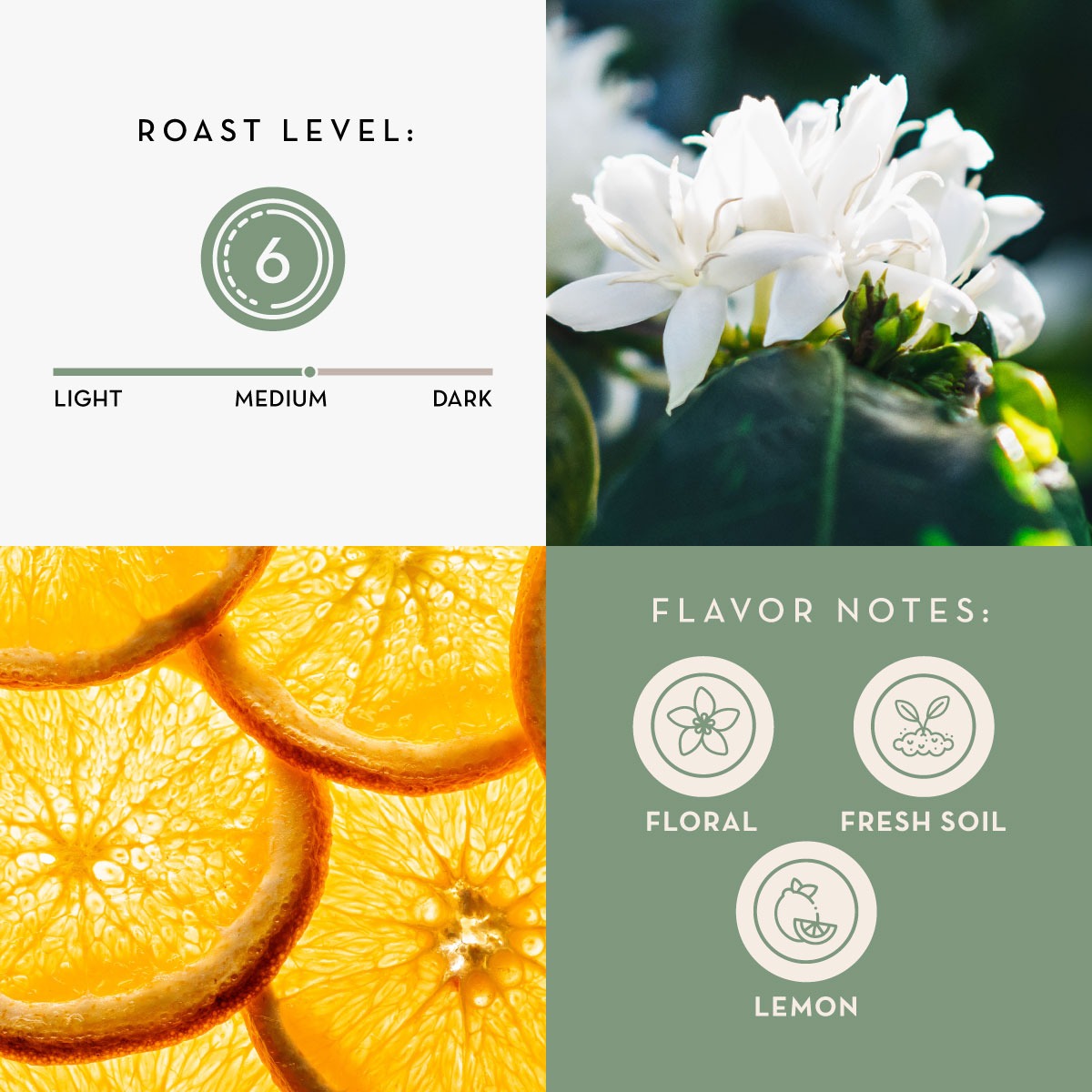 COSTA RICAN POÁS TIERRA VOLCÁNICA COFFEE