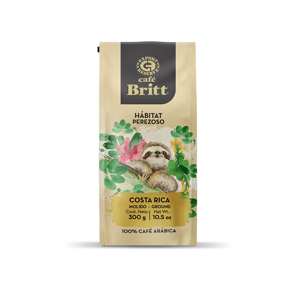 Sloth-Front-Molido.webp