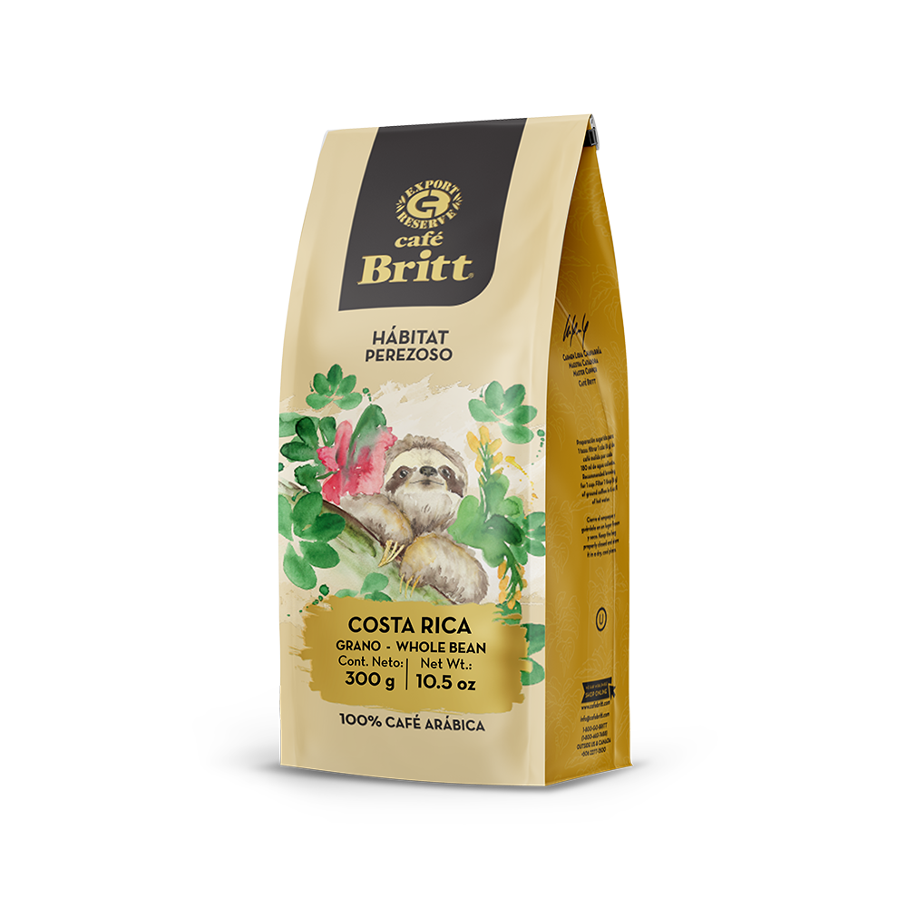CAFÉ DEL PEREZOSO DEL HÁBITAT DE COSTA RICA