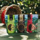 Chocolate Tasting Experience