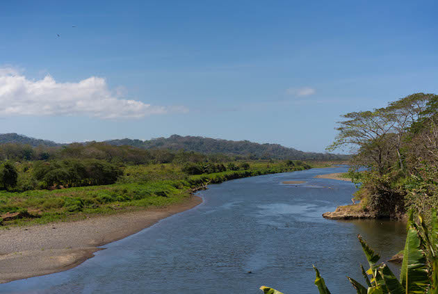 blog-habitat-lapa-4.jpg