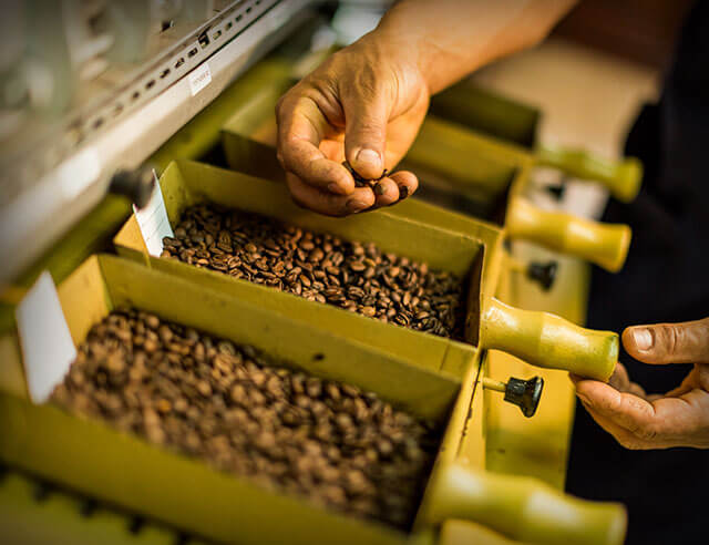 costa-rican-coffee-journey08.jpg