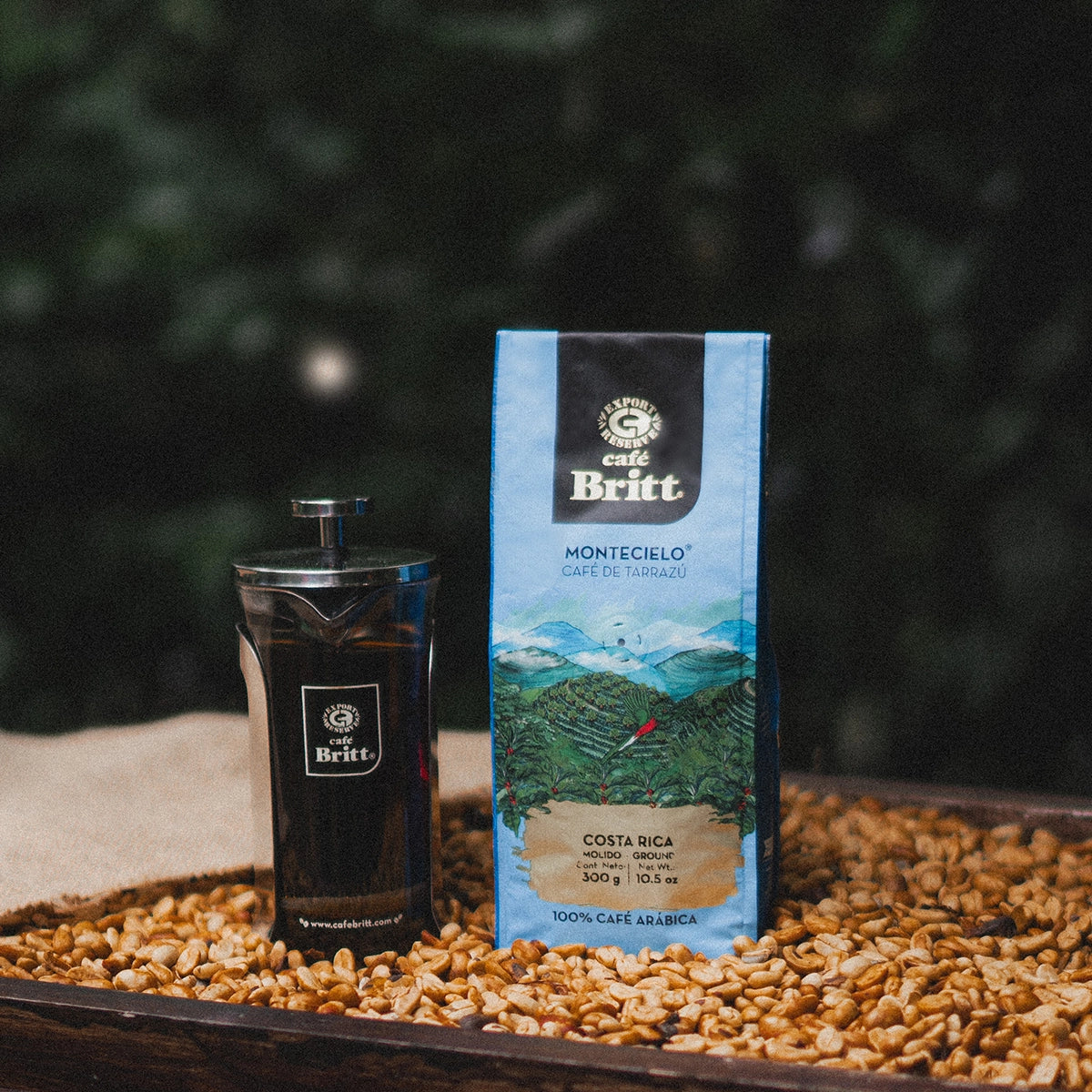 Morning Coffee Essentials
