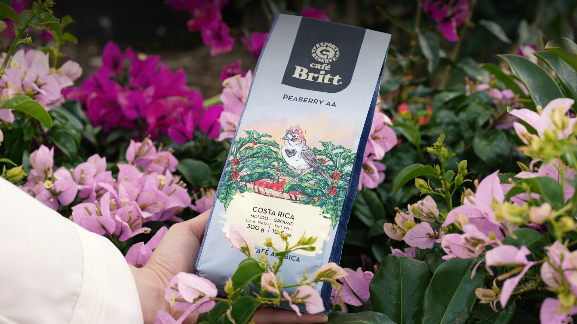 Cafe Britt Gourmet Coffee
