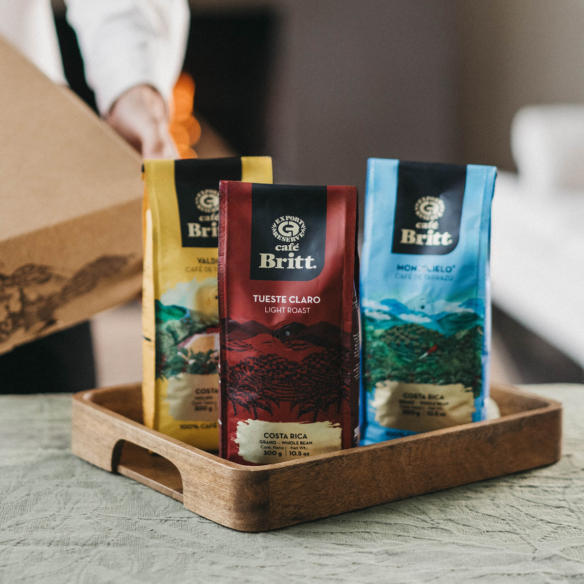 Curated Coffee Collection 3-pack
