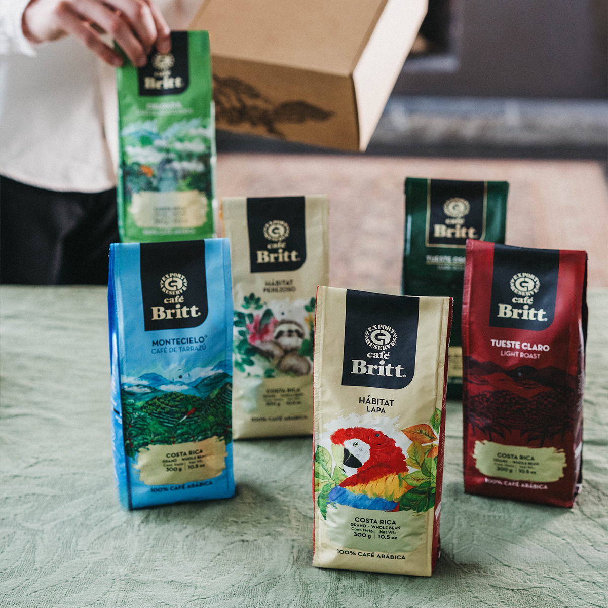 Curated Coffee Collection 6-pack