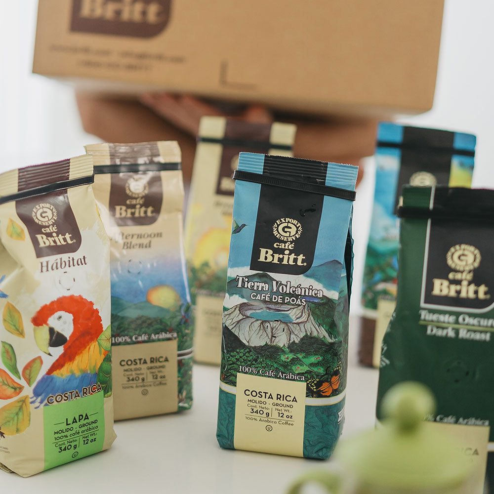 Curated Coffee Collection 6-pack