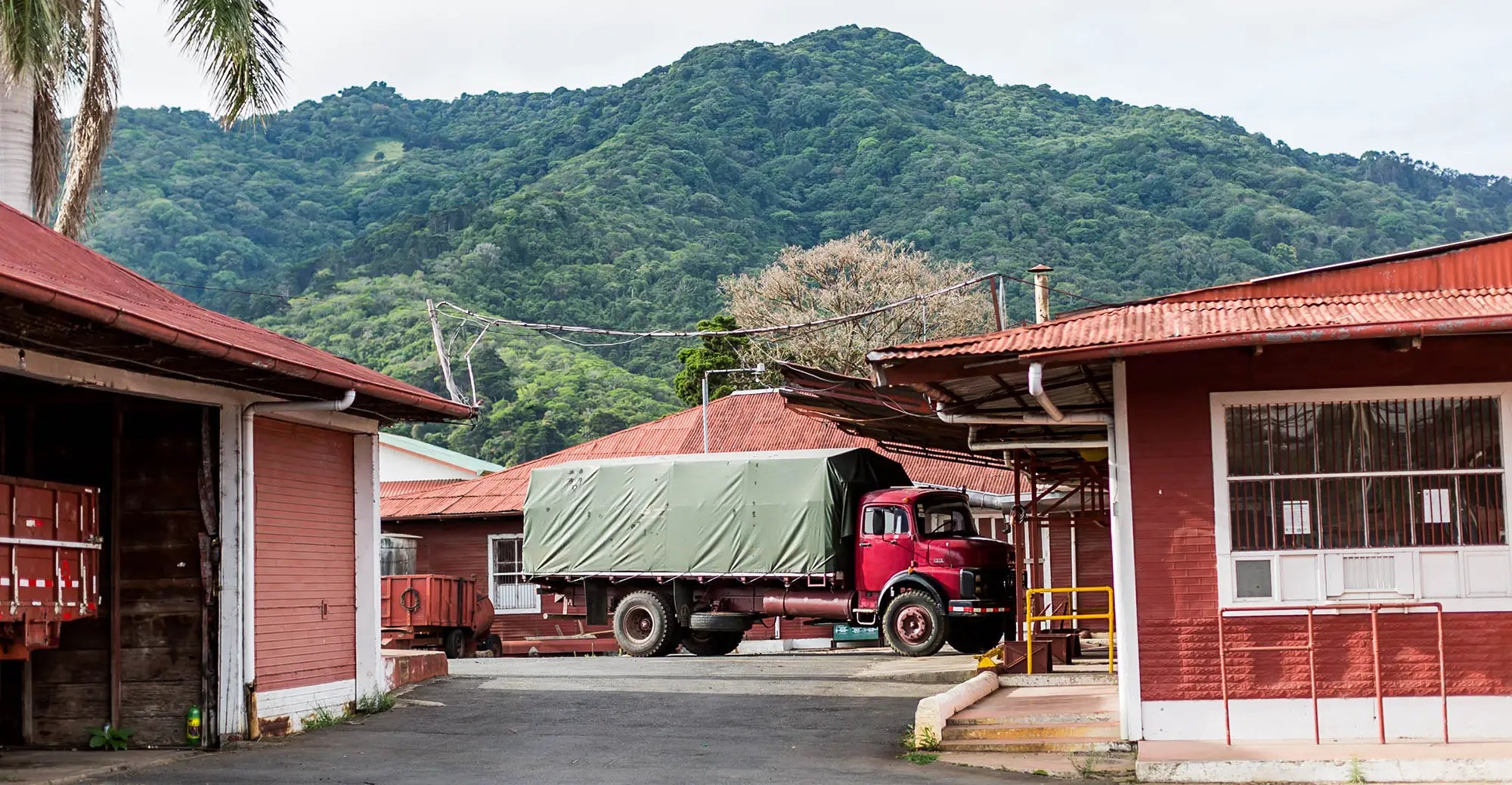 Cafe Britt's Valdivia Blend: Premium Costa Rican Coffee from Tres Rios ...