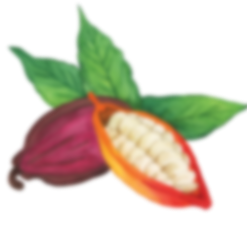 Cacao — inferior derecha